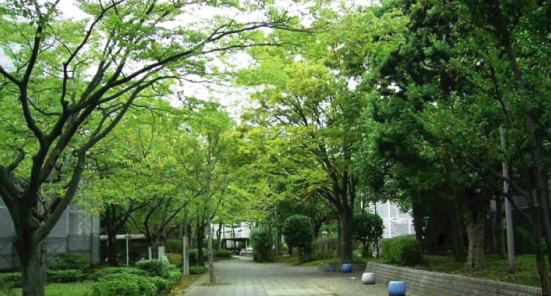 �Z���R���T���^���g